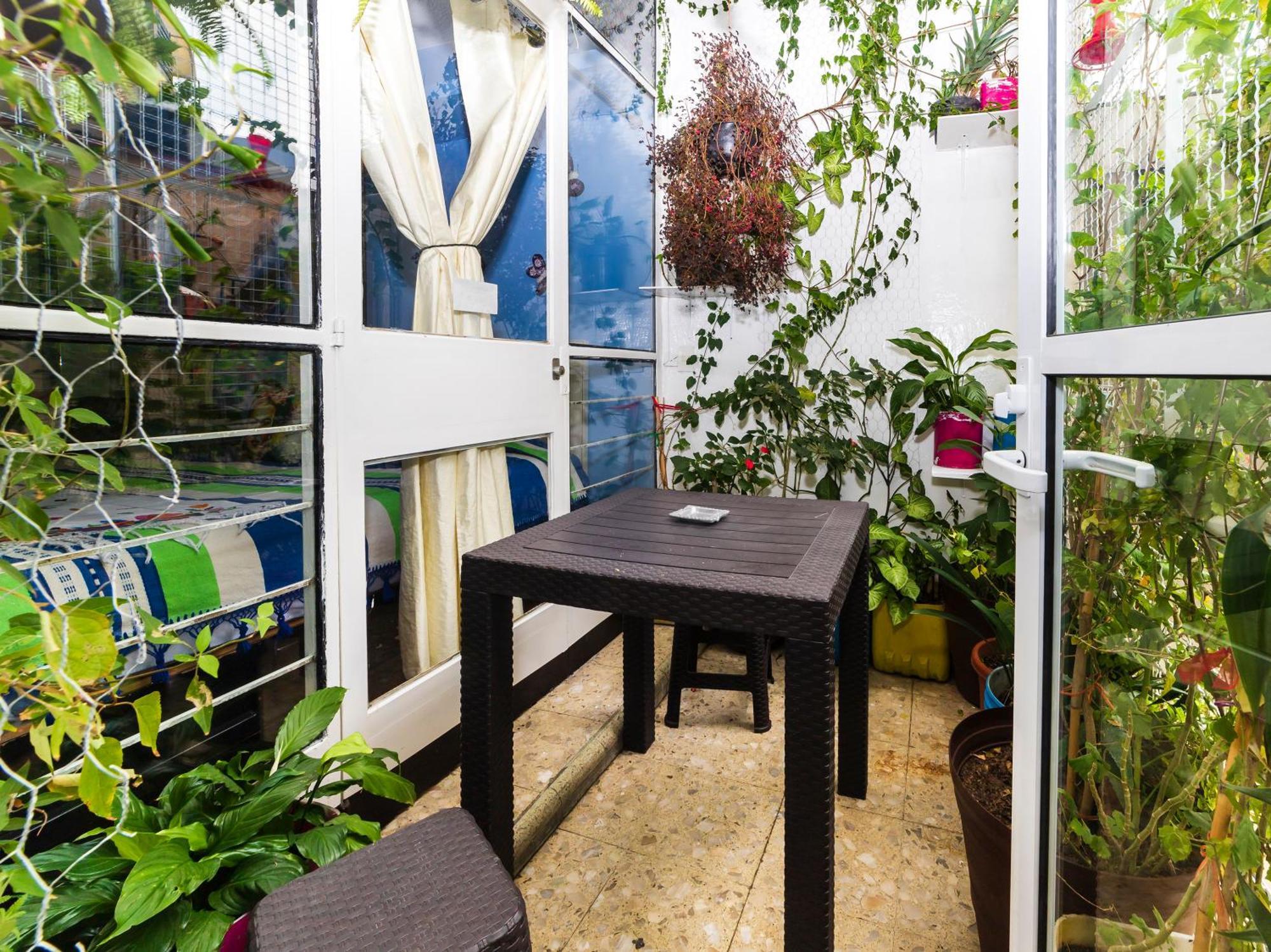 Casa Itzae B&B Polanquito Dog Friendly メキシコシティ エクステリア 写真