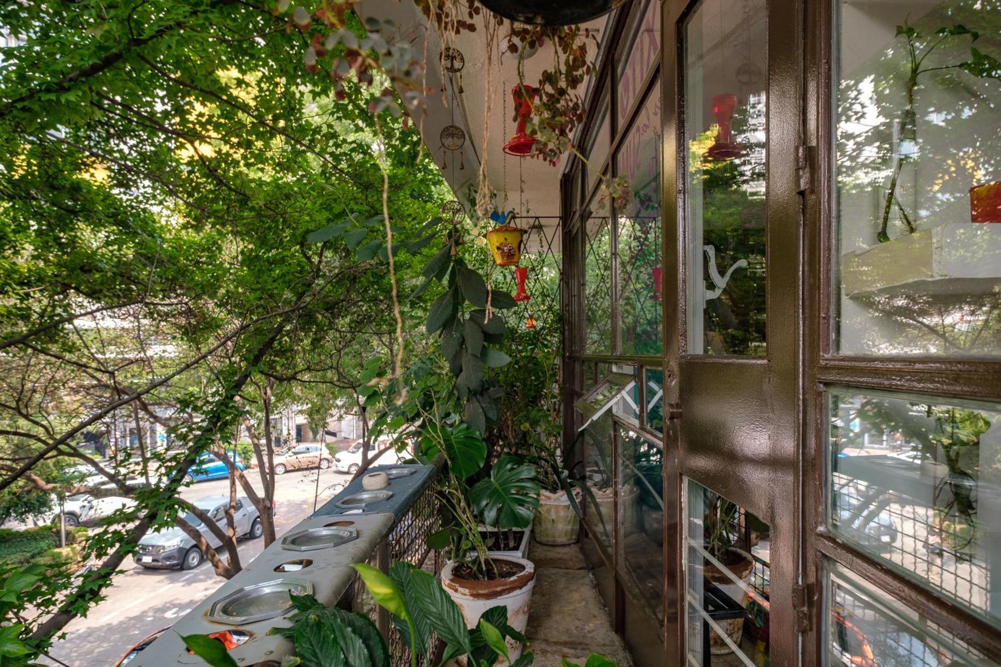 Casa Itzae B&B Polanquito Dog Friendly メキシコシティ エクステリア 写真