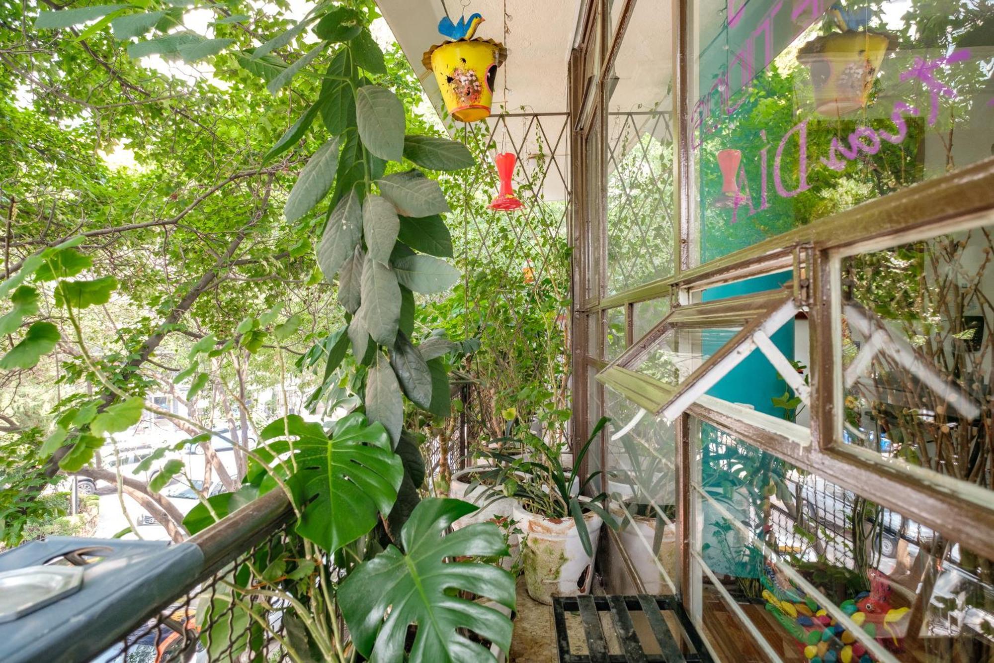 Casa Itzae B&B Polanquito Dog Friendly メキシコシティ エクステリア 写真