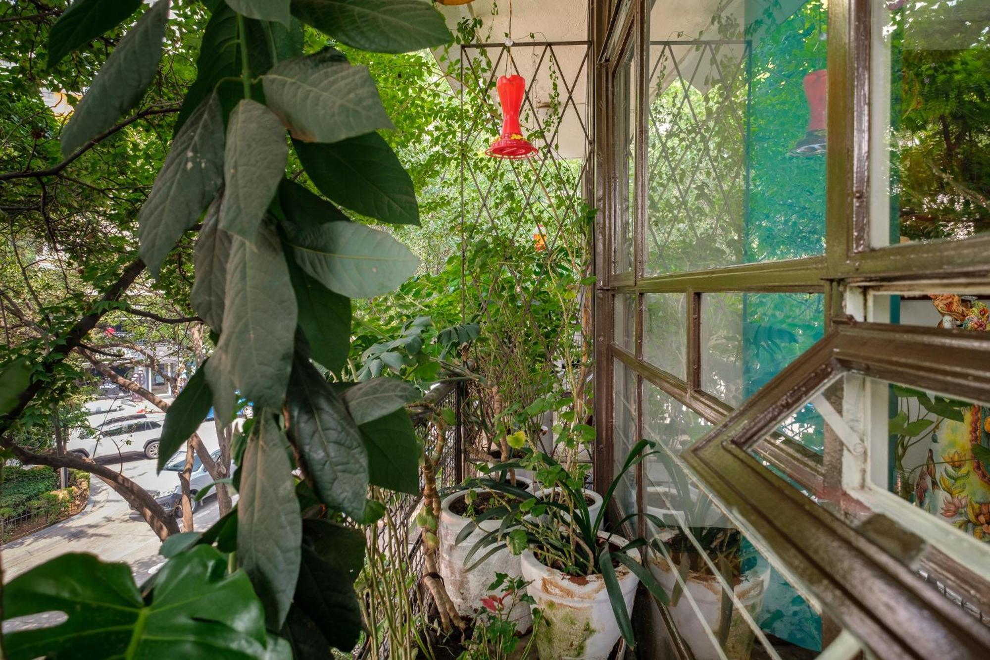 Casa Itzae B&B Polanquito Dog Friendly メキシコシティ エクステリア 写真