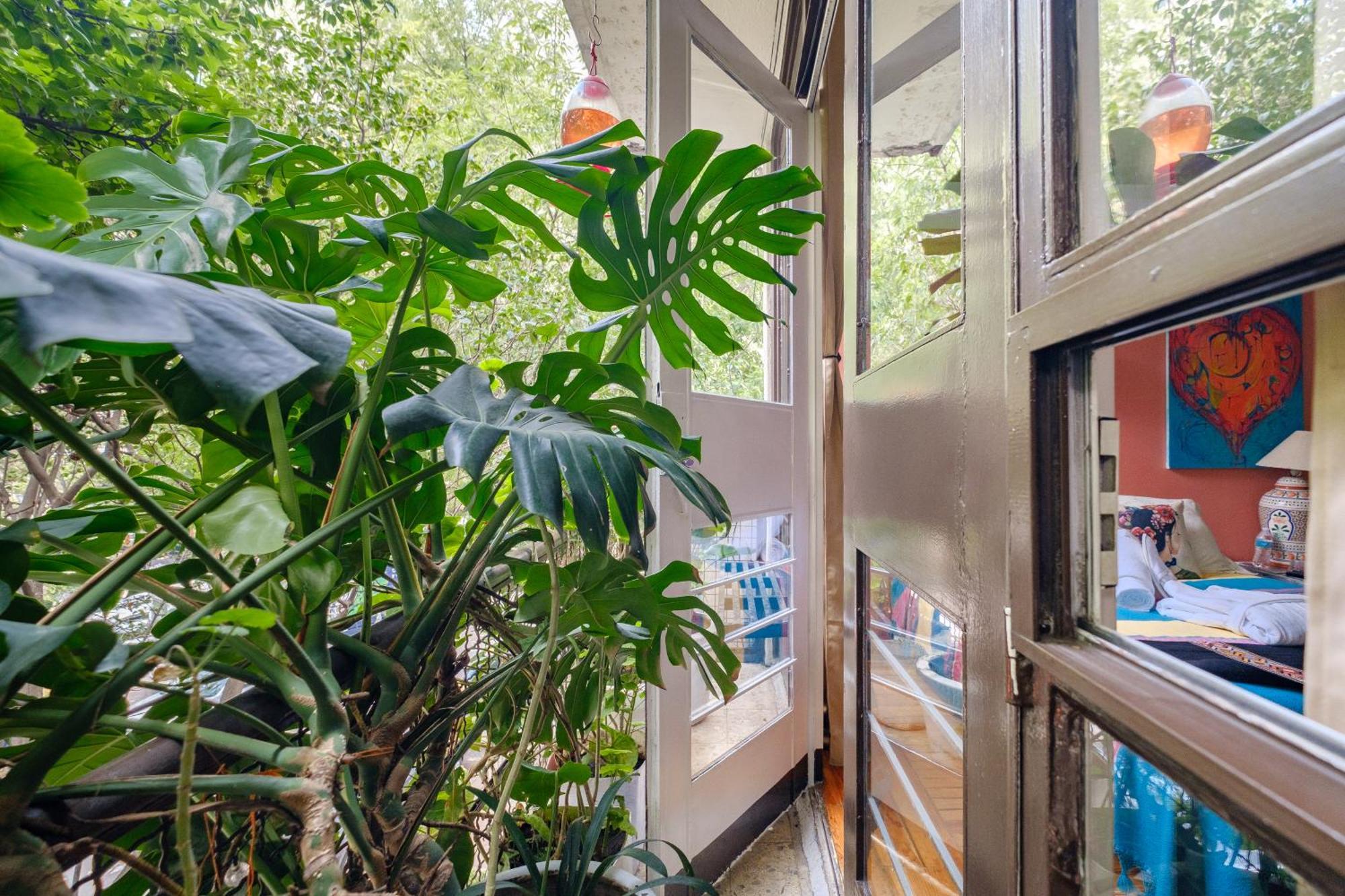 Casa Itzae B&B Polanquito Dog Friendly メキシコシティ エクステリア 写真
